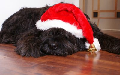 A Dog House Christmas Poem…..