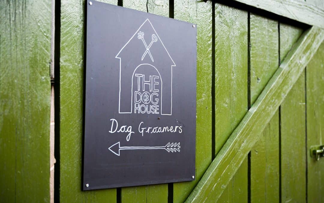 Finding a dog groomer in Leicestershire